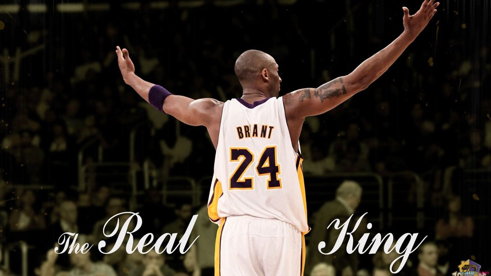 开云体育平台APP-孤胆英雄布伦森！深圳绝境逆袭，铁血防守绞碎尼克斯翻盘美梦